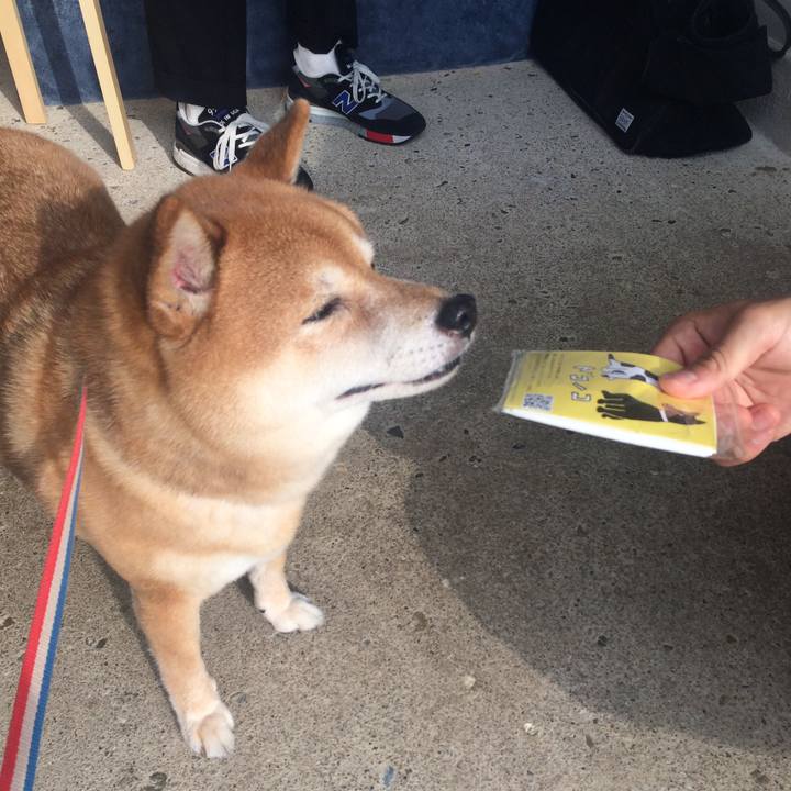 D867ab47 6202 4d84 8b9c a76d4a77d1c2