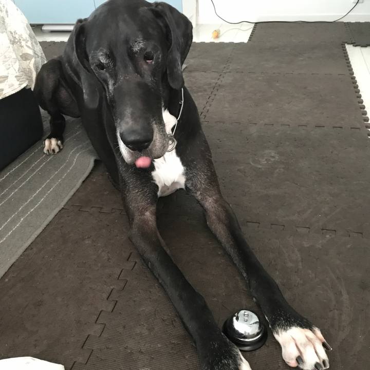 D867c81f 765e 453c 818f 741497833639