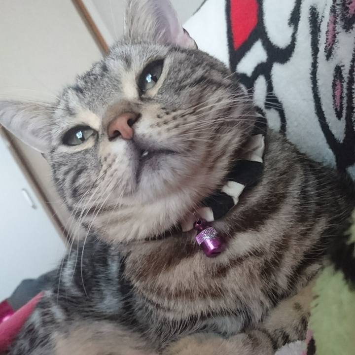 D867e855 aa06 447d a6bc 1a871462ddb8