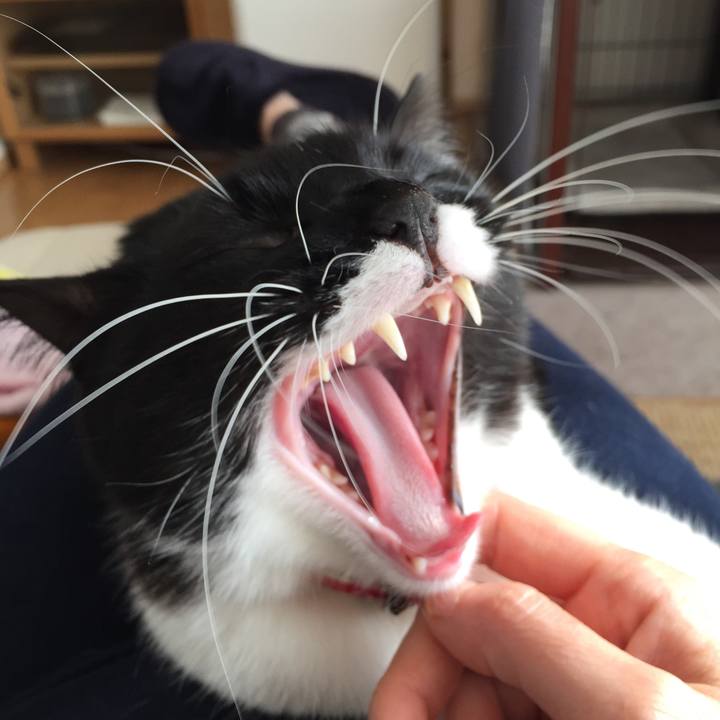 D8687413 a909 4121 a76c 018d50f8db98