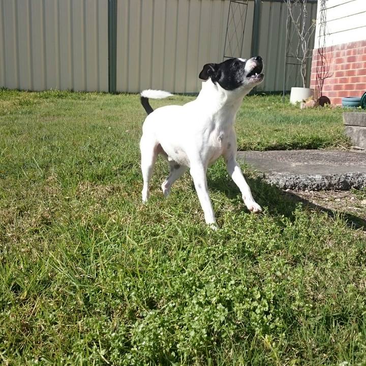 D86aa5f7 84fe 434b ae15 e497b4e00e8f