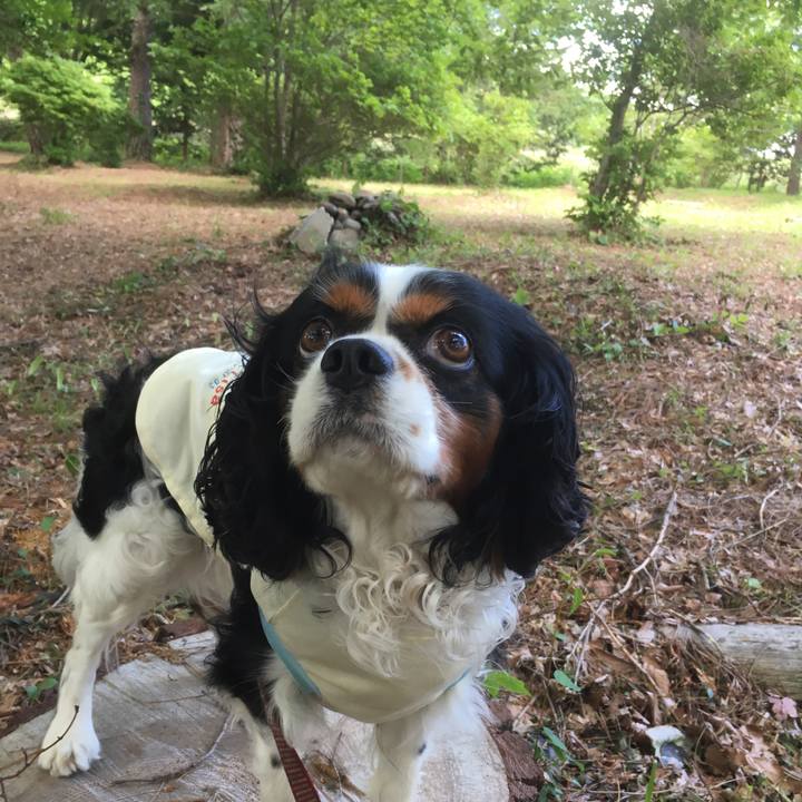 D86ad171 36e1 4a89 9e68 f6a24de10faa