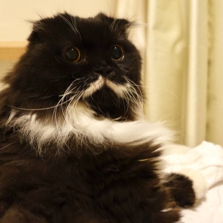 D86b6ebc cb1f 4c57 9bf3 89cfc1fb7b6d