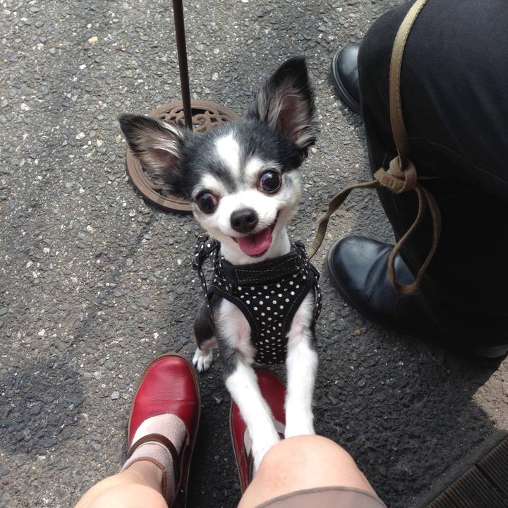 D86b8e61 0327 4cfd aaf0 606af1eacd61