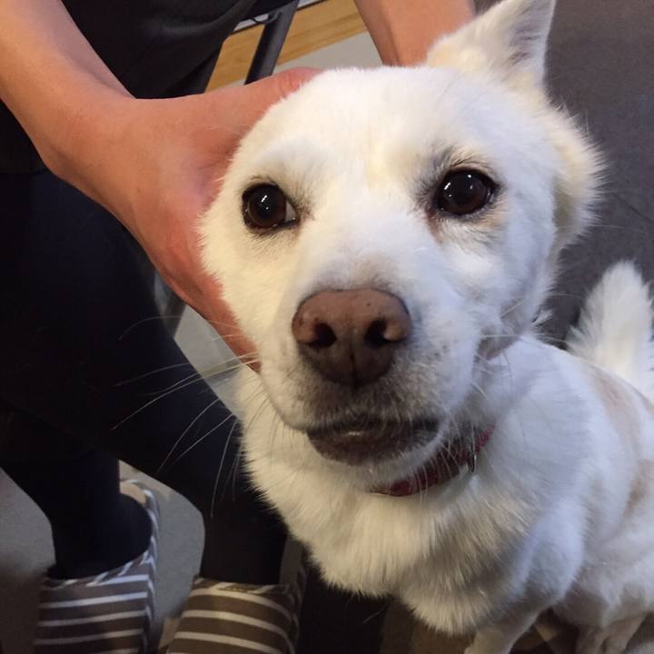 D86b98eb 2540 4c47 8b94 7332bf9b880b