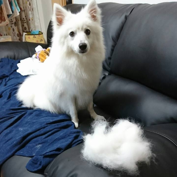 D86ba595 69f5 40c5 a9a8 aae86371e1d5