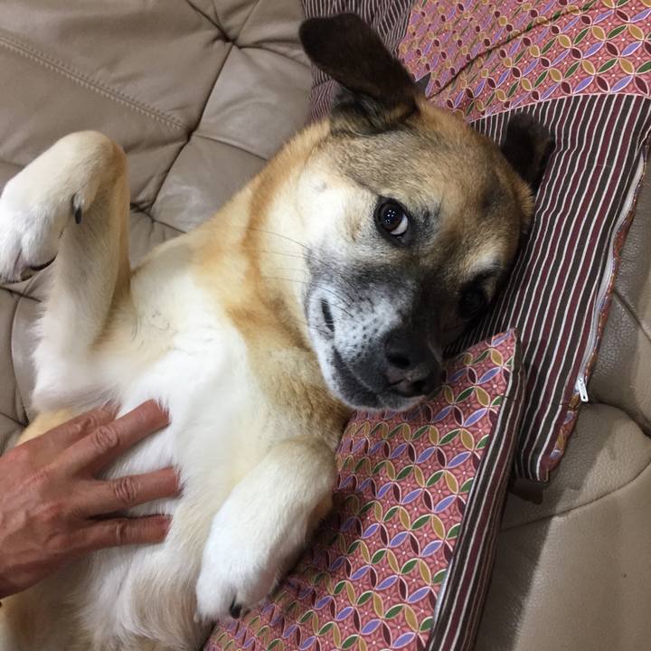 D86bb629 1122 4b25 a5ab ed797eb69daf