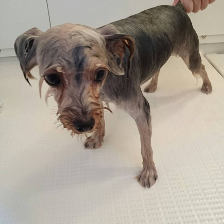 D86bd1e5 5f08 4d22 9995 0d63330fd555