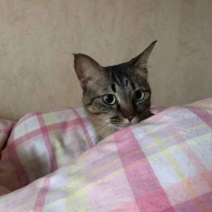 D86e3d44 1ec6 417d b71c 04d78ff0c315