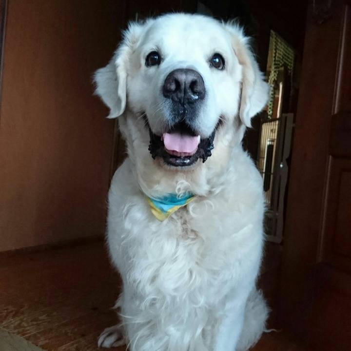 D86e44cc 53e5 438d 9305 80d2baa86218