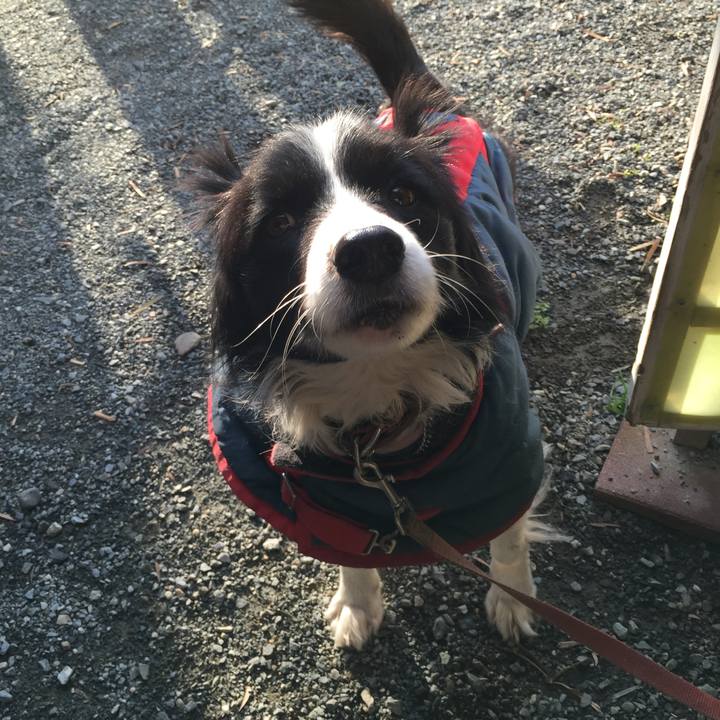 D86e536e c052 4a10 8914 8a45b4cd878f