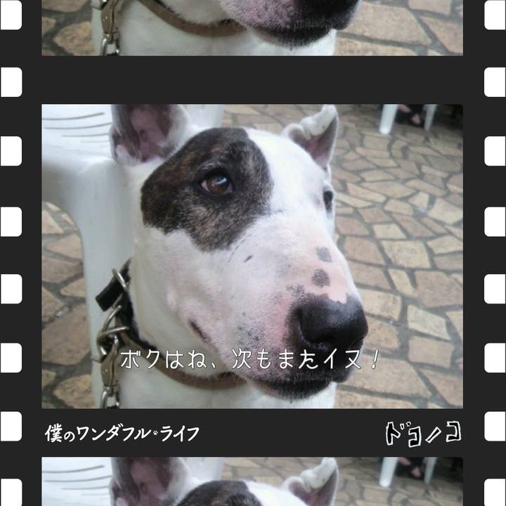 D86ee01b c5f5 4d83 a22c 39ad587b8b6b