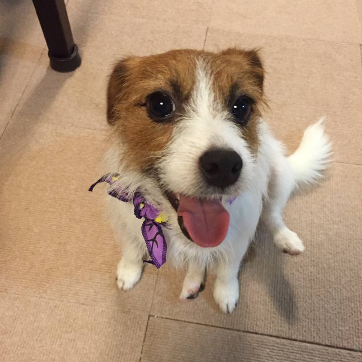 D86f10dc 2c79 4838 a54a 073c8d5e1d26