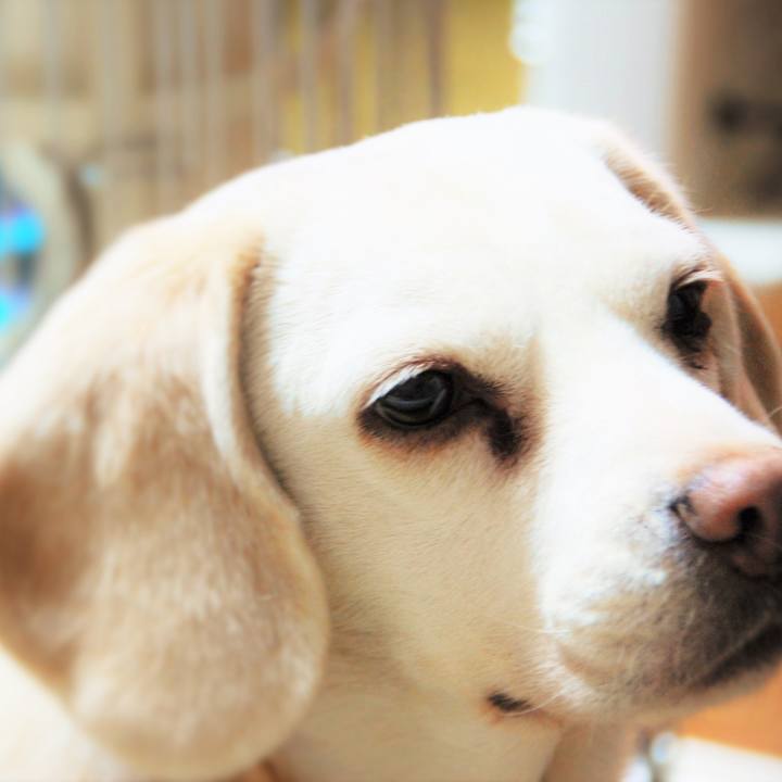 D86f8c0a caab 4191 833d d97eec894a65