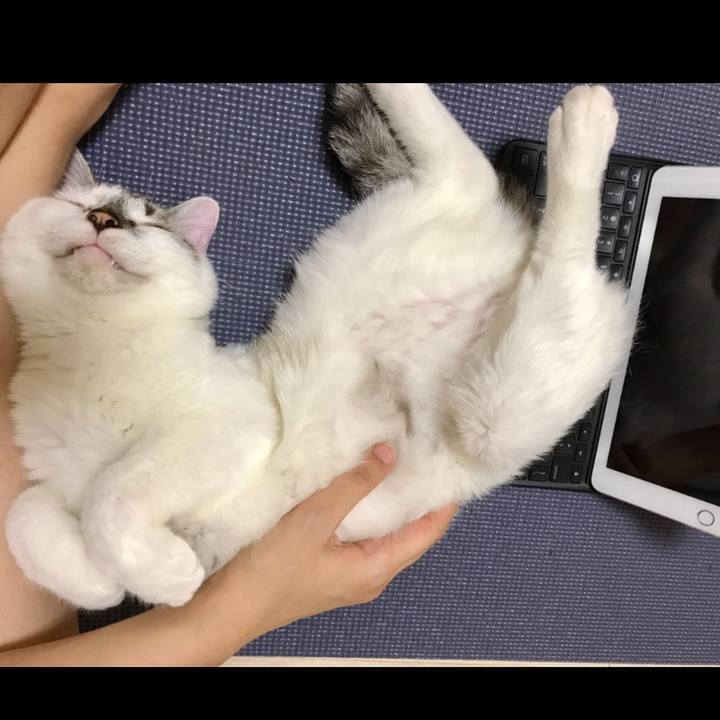 D86ff25c 47b5 4bff 937e 02465816c044