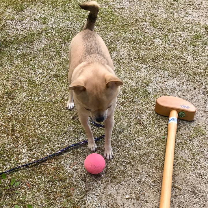 D87021ac 4645 4694 ae9b 25377638484a