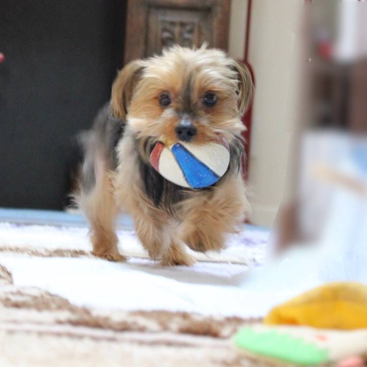 D870acb9 0838 4dbd b8ed dc0ed7954890