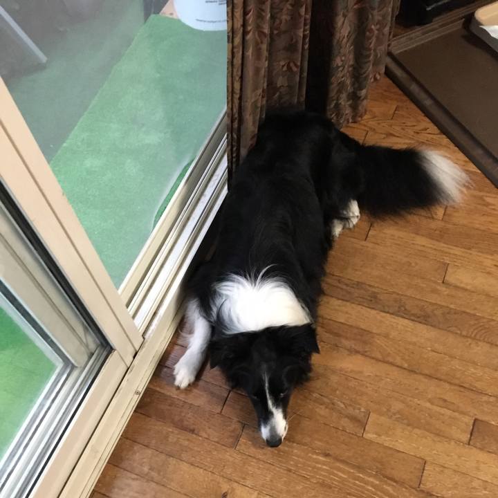 D870acd9 8e01 446c a40a 379dbf76ff4e