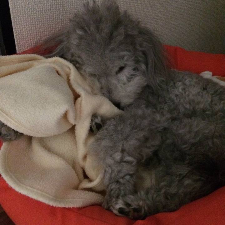 D870dcb7 8af2 429a b7a7 c07d89067155