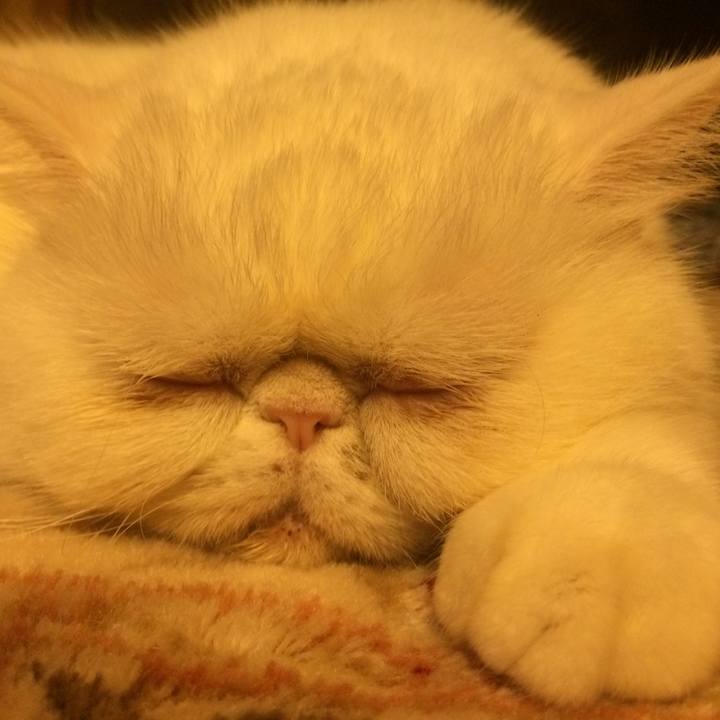 D870e209 4afb 4a91 a683 1a376342a5c6