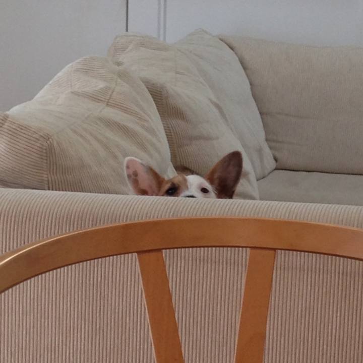 D8717ae3 df52 4892 92fa 73846c108db1