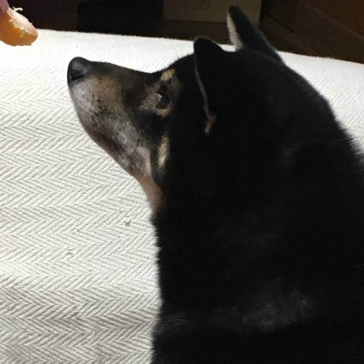 D871ecef c68e 4cd1 80a4 0c9f0f907dd5