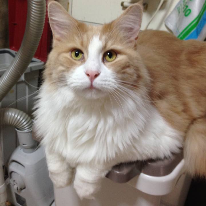 D8722be3 a066 44e4 a31a 82e62d505f51