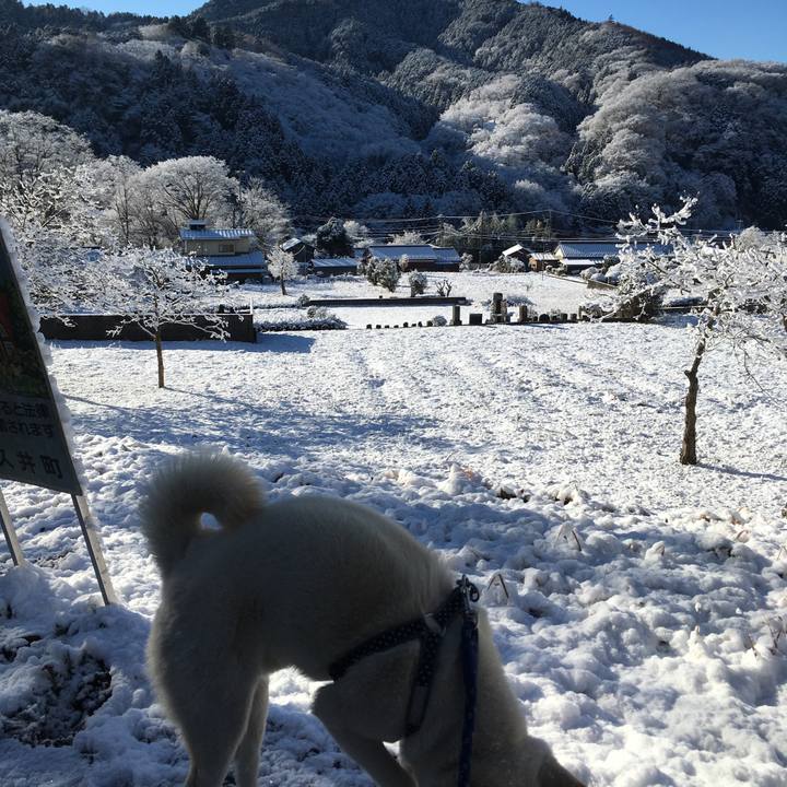 D8729988 cc1c 4bee bb00 7459956e93d6