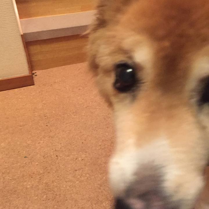 D872eb76 ccab 4242 b703 817f717a0a26