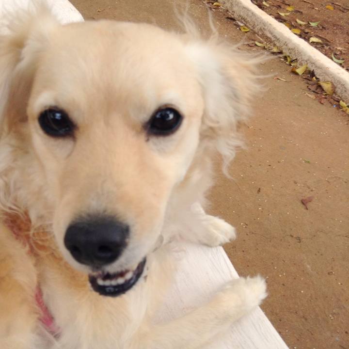 D8736091 19ba 4695 bb3b e447e6d0b922