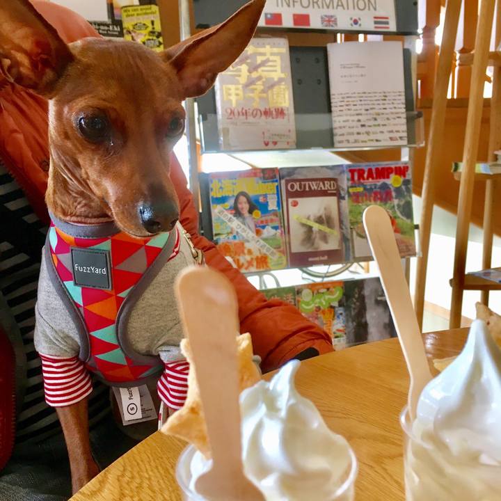 D87405f4 d8d8 4960 b095 aa4c9d480454