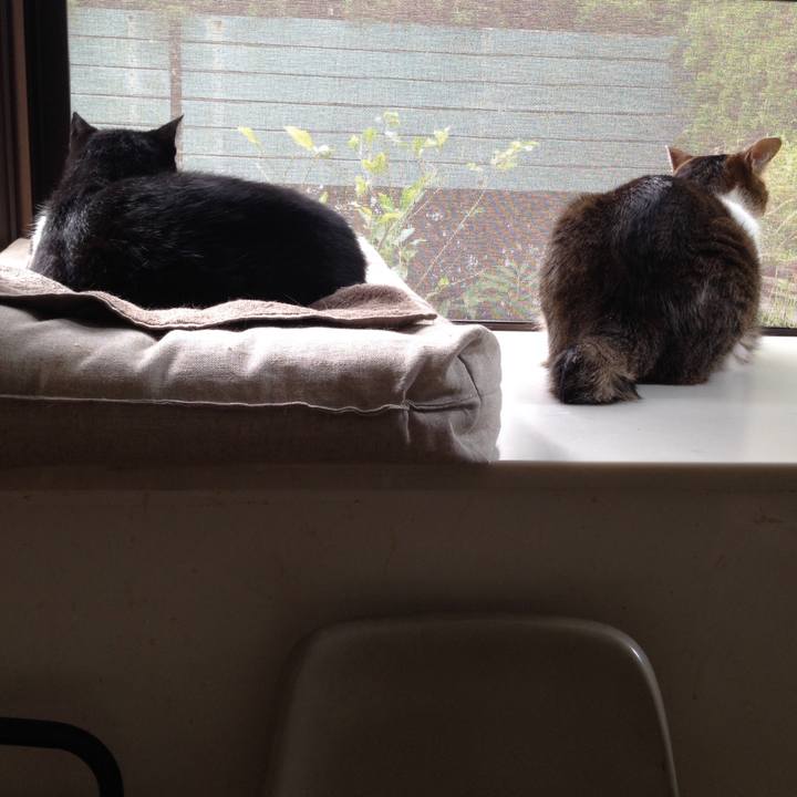 D8742c6d 40f6 4ac5 87d7 6cebb0093637