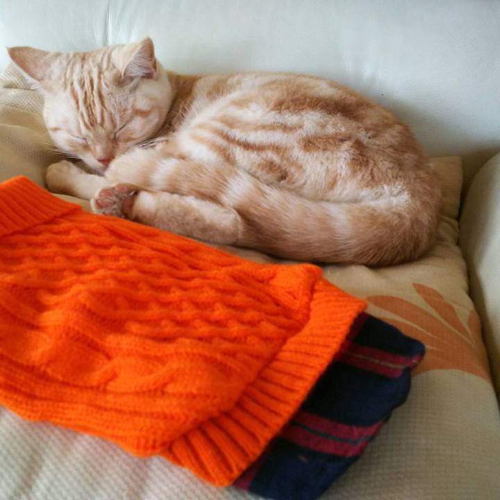 D874b748 7480 4b91 8957 da21d9576724