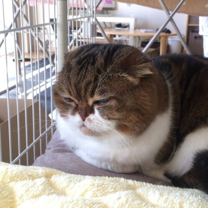 D874c974 f6a3 4396 9662 ac830fb832af