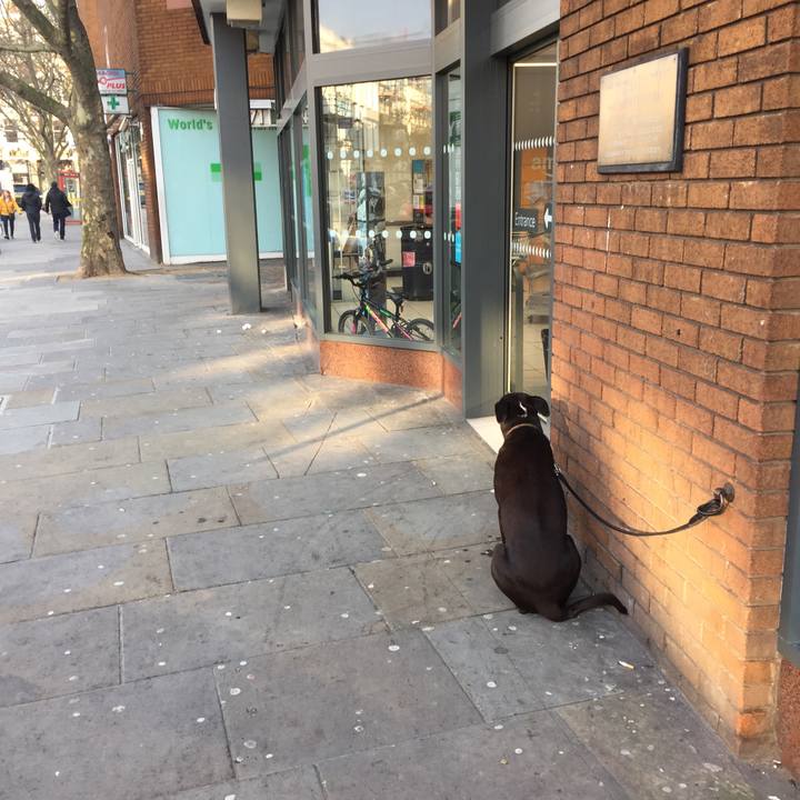 D874e12a 6630 45b2 8f96 d66004a53c27