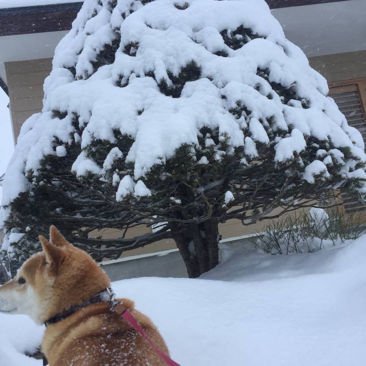 D87583ed 2269 4771 ba39 e476d6bdb5e6