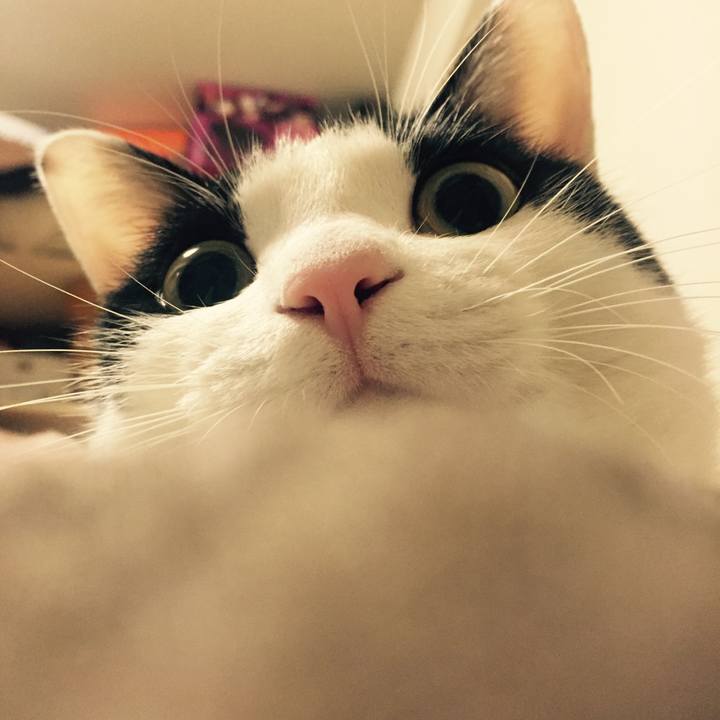 D875a032 aef1 4710 9671 361cd7e5bddf