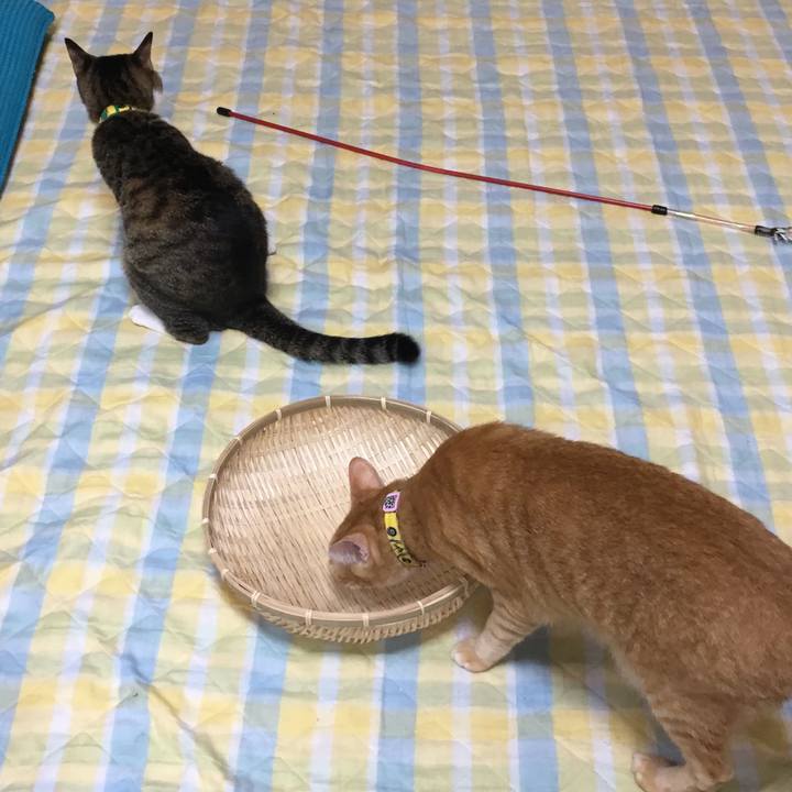 D8760508 5fc0 4dfe 960c 9dabefe34a8c