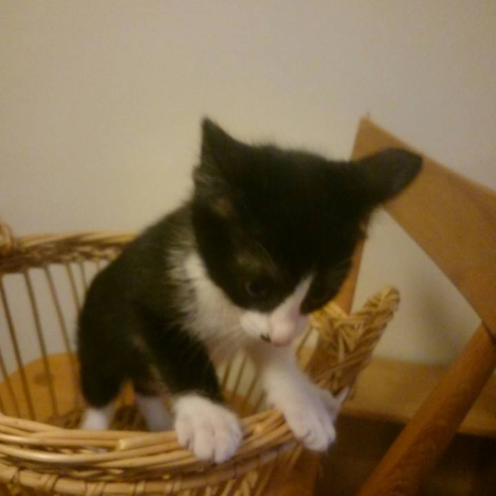 D8775e2c 553c 4644 9a26 4c7f981e3bf1