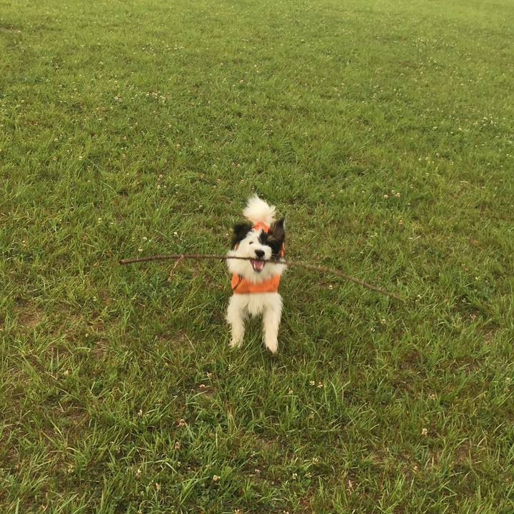 D877f4a3 7e09 40f0 a50d 79351fd54a56