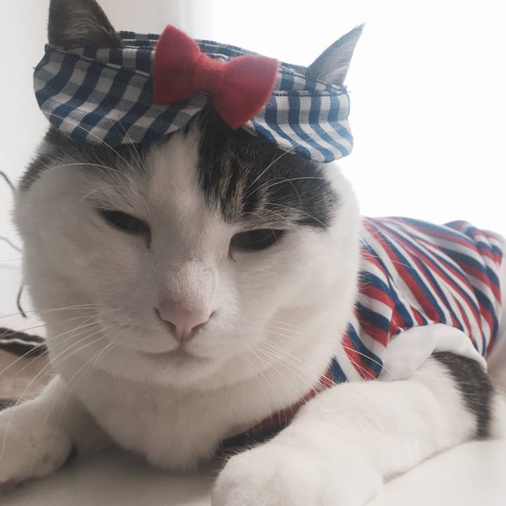 D8782f4a fb97 43e1 84ad 1f3a932fc25c