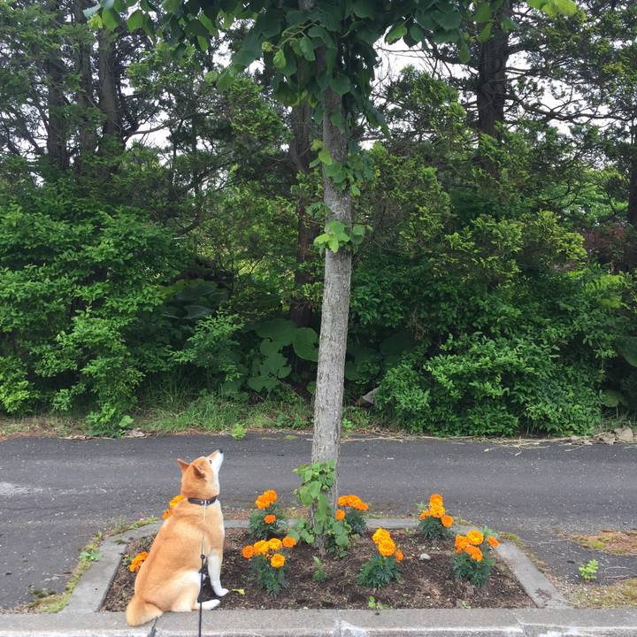 D8790588 ad8c 4012 9a46 7aa76c20f9b7