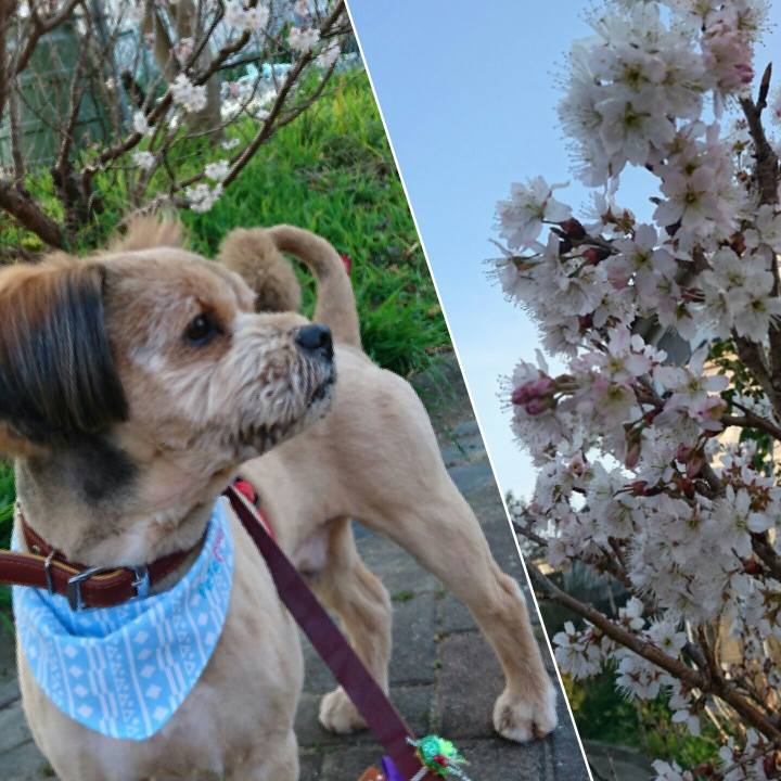 D879b42d 836c 4c75 adaa 5b2914634263