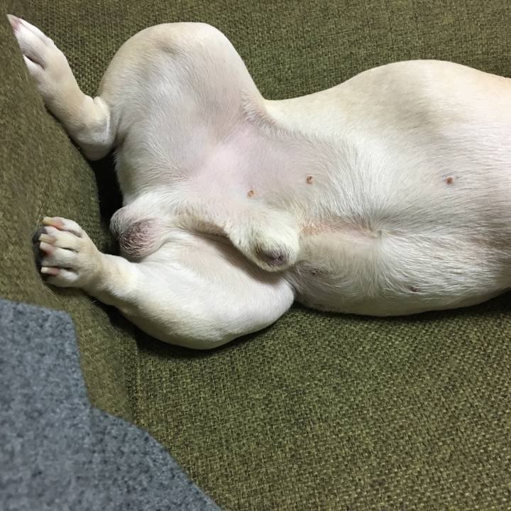 D87a3096 bc92 4a61 a098 6a5993fb3b12