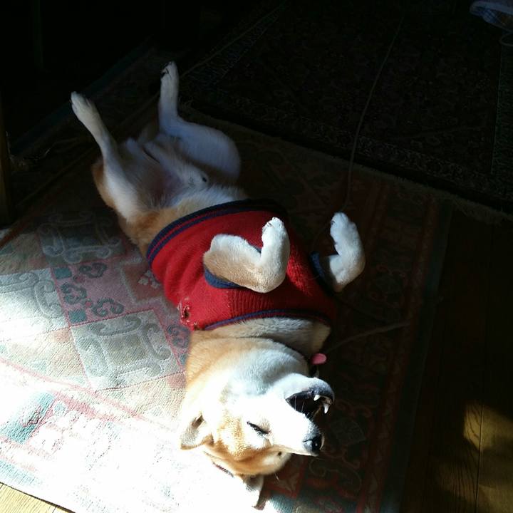 D87a5b93 24b1 4924 8391 a5991bbf9da4