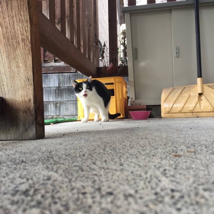 D87b24e9 2fbe 4b92 811c 44b8e2be5610