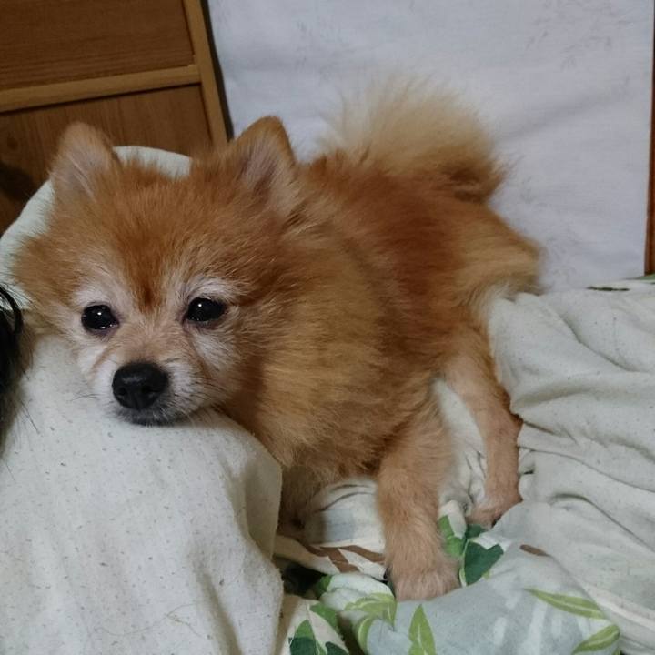 D87b2fcb cb1a 4820 8e17 5c1f3d5c24a6