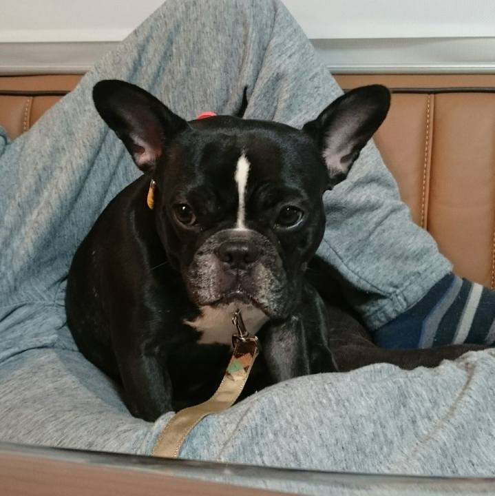 D87b7a08 8ddb 48d1 8ac1 a74cce58fcdb