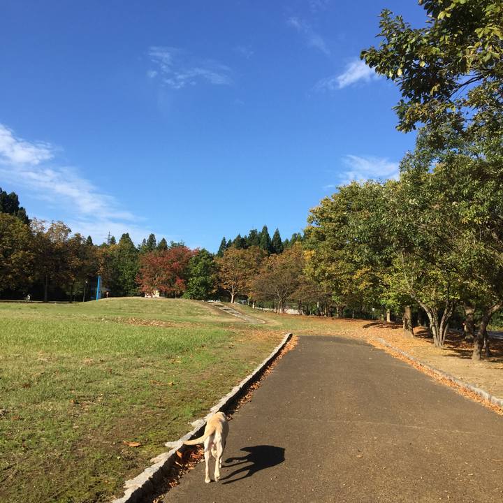 D87b7fcd 51c8 4b18 929d e5ea65e97d14