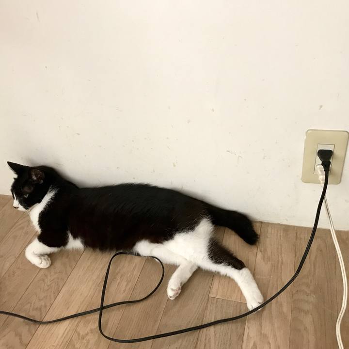 D87ba5ad 453e 4e43 b84a 3c9cd08063b5